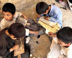 education