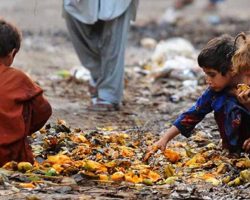 feed-the-poor